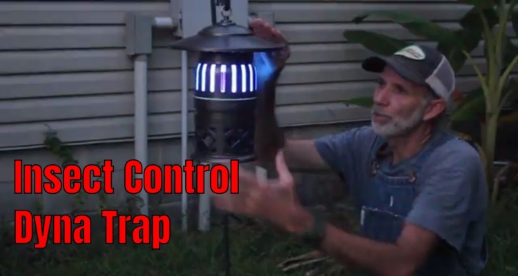 Dynatrap Xl Insect Trap Reviews [March 2020] – Should You Buy It