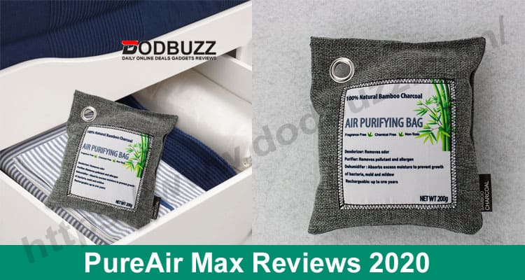 PureAir Max Reviews 2020