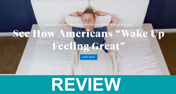 Sutera Pillow Reviews 2020