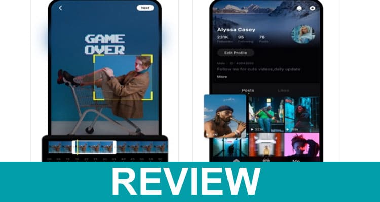 Zynn App Reviews 2020
