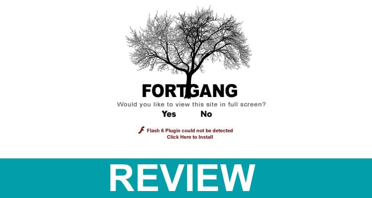 Fortgang.com Free Skins 2020