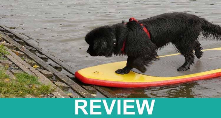 Holy-Dog-Water-Review