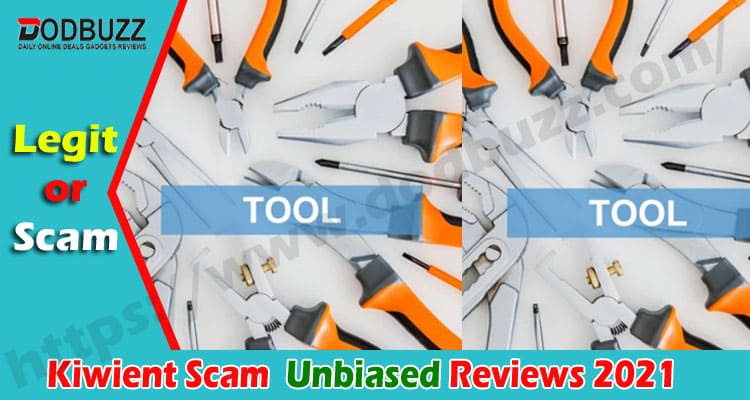 Kiwient Scam {August 2020} - Check This Review Now!