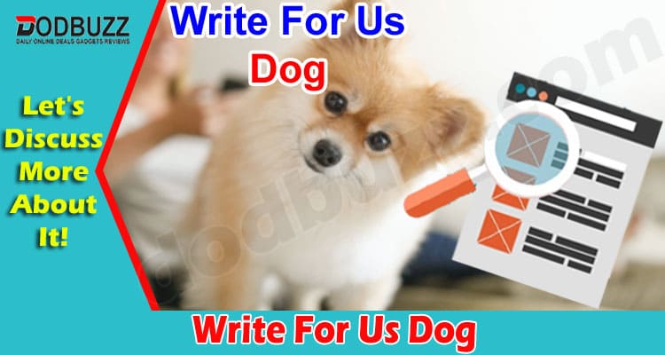 About General Information Write For Us Dog