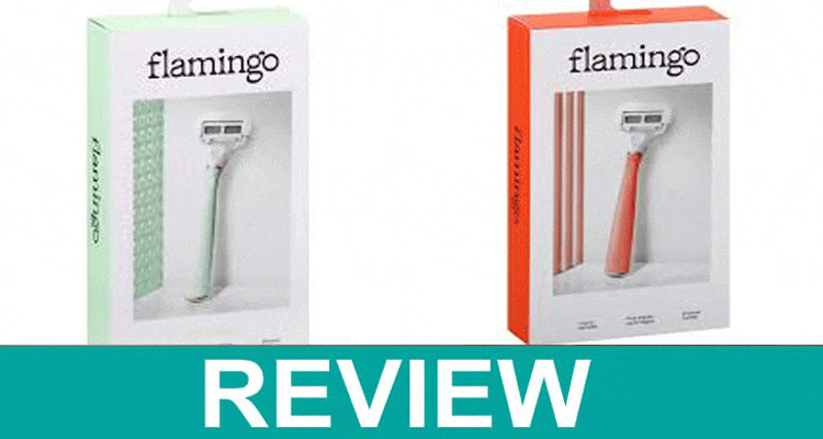 Flamingo-Razor-Review