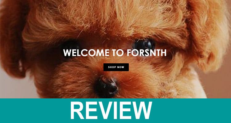 Forsnth Review 2021
