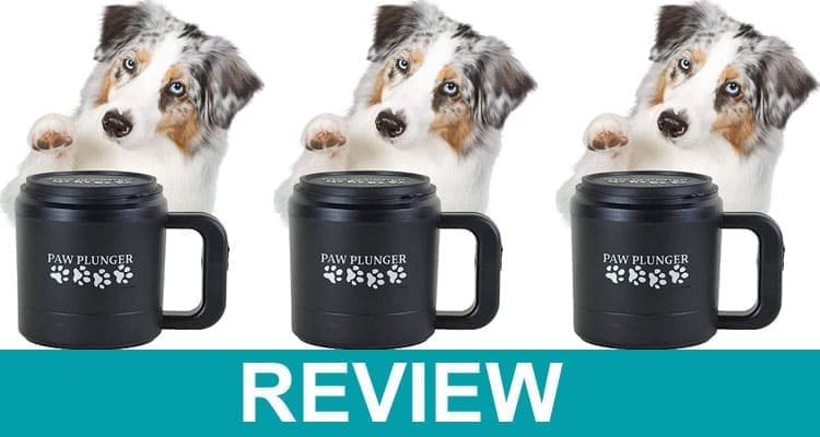 Muddy Paw Cleaner Reviews 2021 (1)