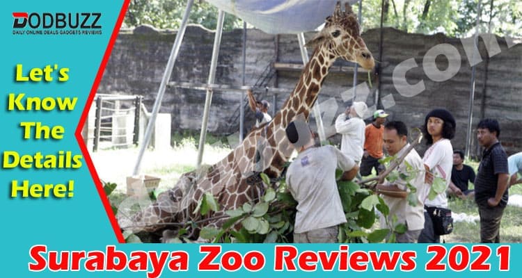 Surabaya Zoo Reviews 2021
