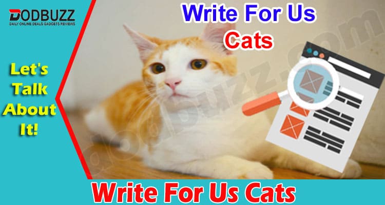 About General Information Write For Us Cats