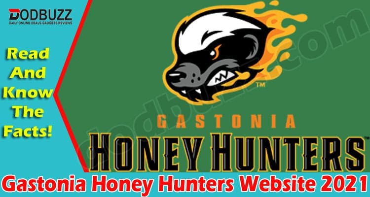 Gastonia Honey Hunters Website 2021