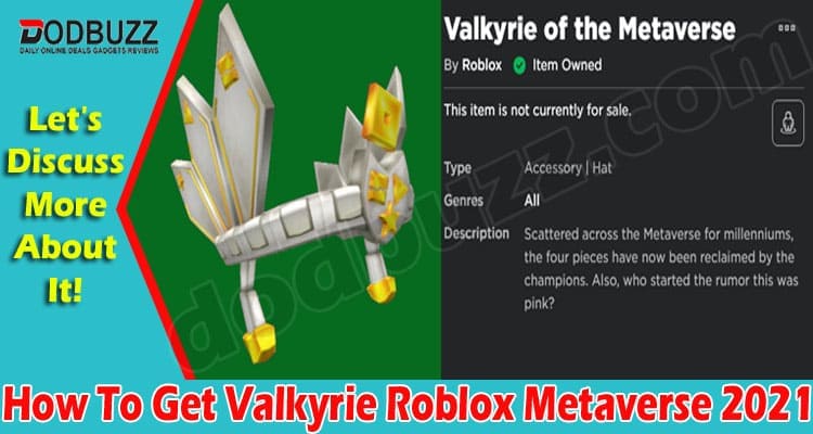 How To Get Valkyrie Roblox Metaverse 2021