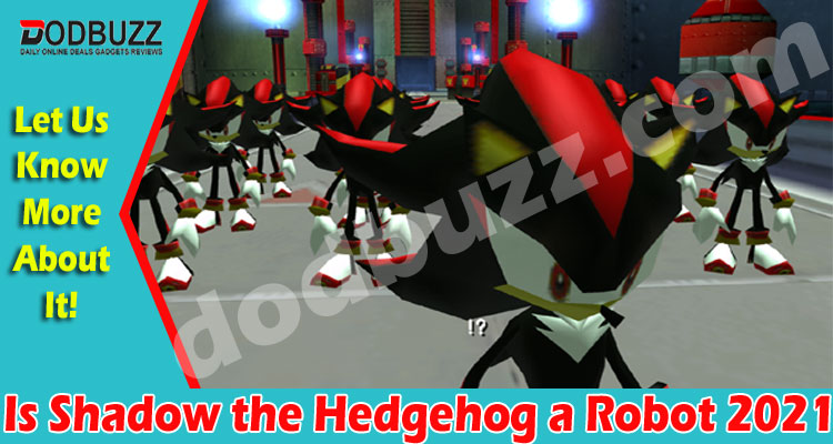 Is Shadow the Hedgehog a Robot 2021.