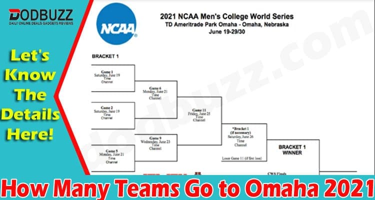 How Many Teams Go To Omaha (June) Find An Answer Here!