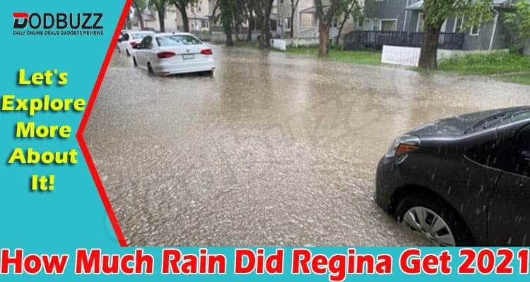 How Much Rain Did Regina Get {Jun} Know The Details!