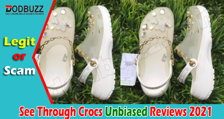See Through Crocs Reviews (June) Is It Legit Or A Scam