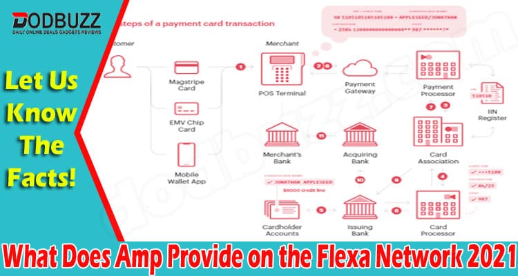 What Does Amp Provide on the Flexa Network {Jun} Read!