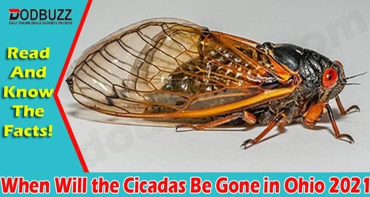 When Will The Cicadas Be Gone In Ohio 2021