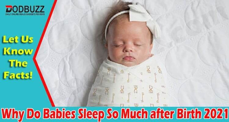 Why Do Babies Sleep So Much After Birth 2021