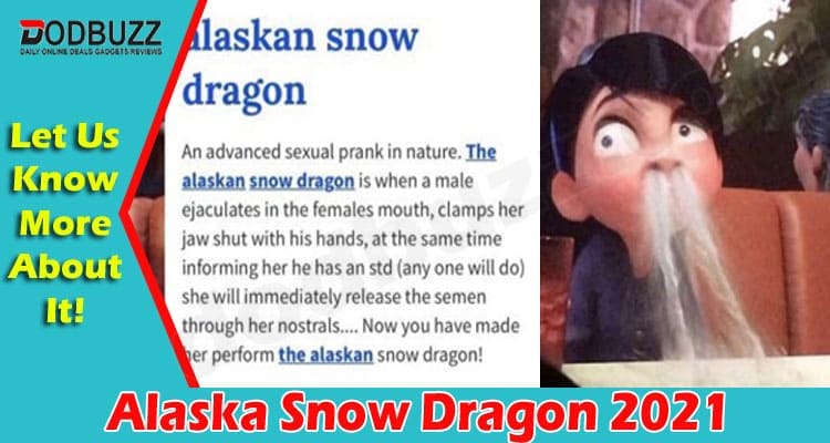 Latest News Alaska Snow Dragon
