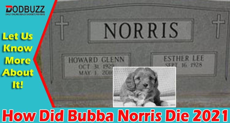 How Did the Norris Nuts Dog Die 2021