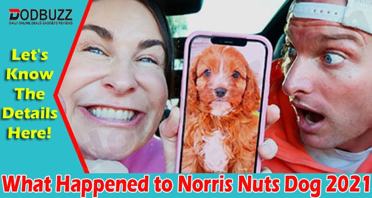 What Happened To Norris Nuts Dog 2021