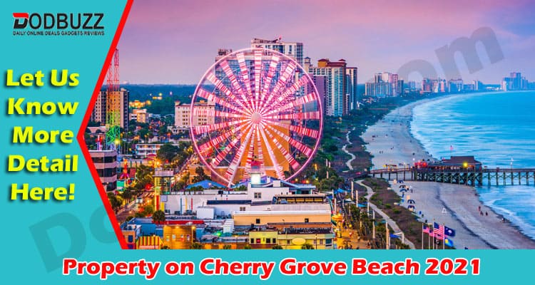 16 Reasons Why You Should Purchase Property on Cherry Grove Beach