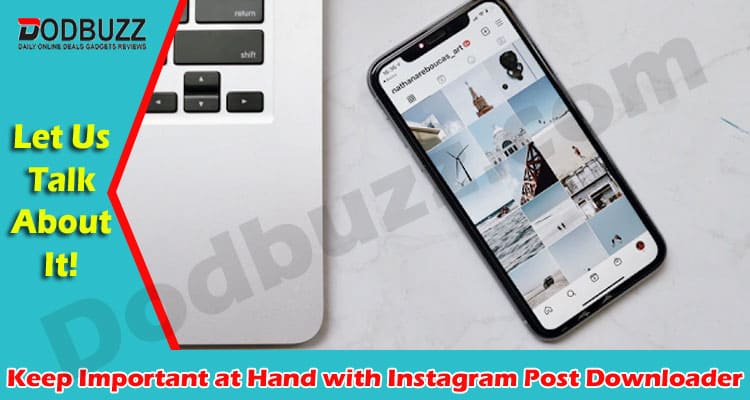 Keep Important at Hand with Instagram Post Downloader