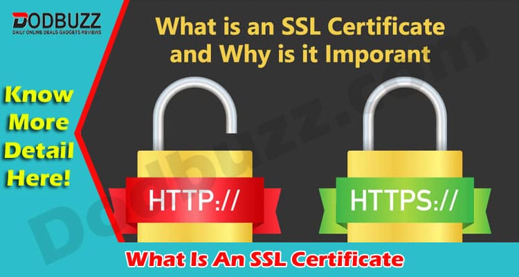 Know All Detail SSL Certificate