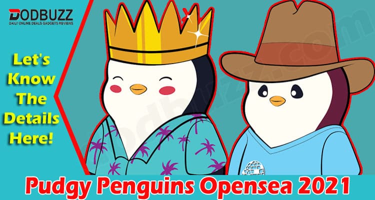 Latest News Pudgy Penguins Opensea