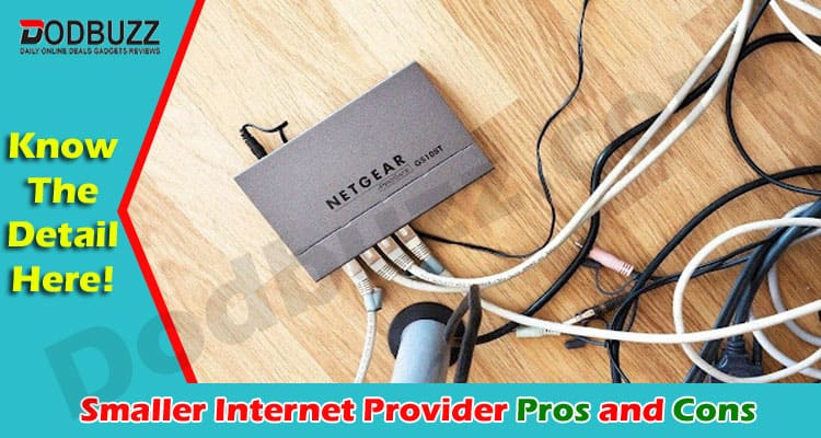 Pros and Cons of Using a Smaller Internet Provider
