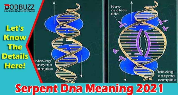 Serpent Dna Meaning 2021