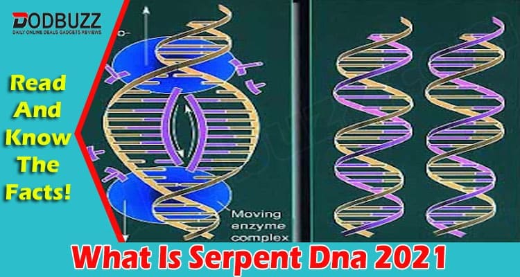 What Is Serpent Dna 2021