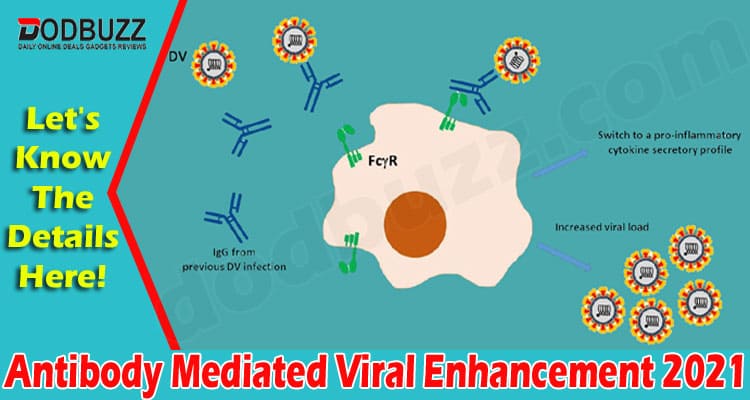 latest news Antibody Mediated Viral Enhancement
