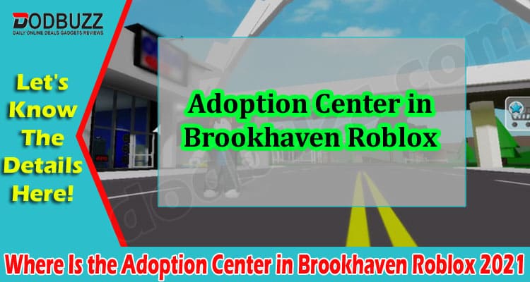 Gaming Tips Adoption Center In Brookhaven Roblox