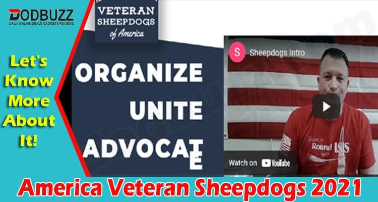 Latest News America Veteran Sheepdogs