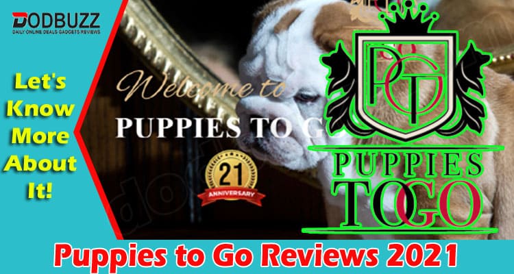 Puppies to Go Online Website Reviews