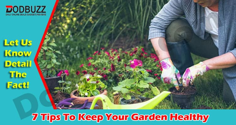 Read Easy Tips To Keep Your Garden Healthy