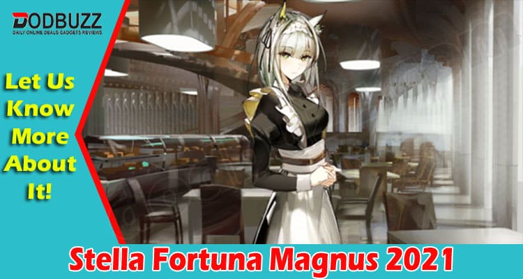 Gaming Tips Stella Fortuna Magnus
