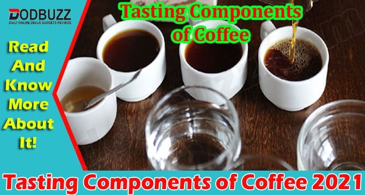 Latest News Tasting Components of Coffee