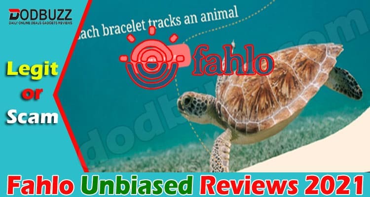 Fahlo Online Website Reviews
