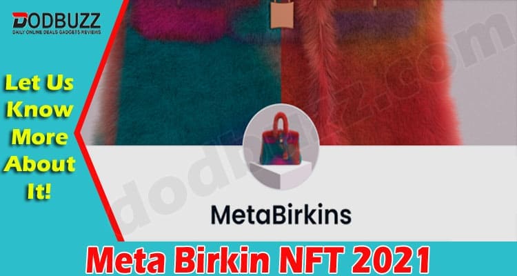 Gamingv Tips Meta Birkin NFT