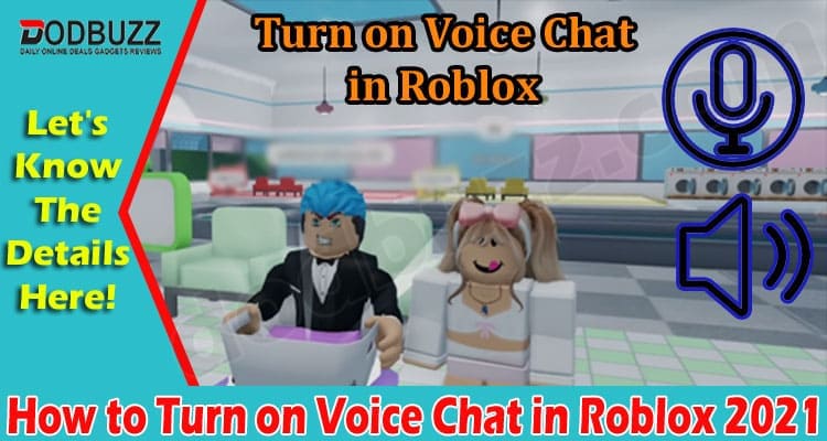 Latest News How to Turn on Voice Chat in Roblox 2021