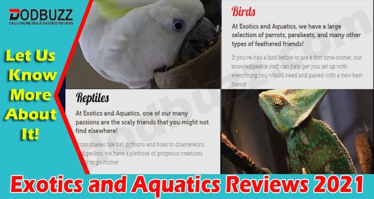 Exotics and Aquatics Online Website Reviews