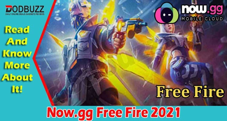 Gaming Tips Now.gg Free Fire