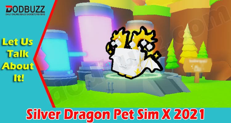 Gaming Tips Silver Dragon Pet Sim X