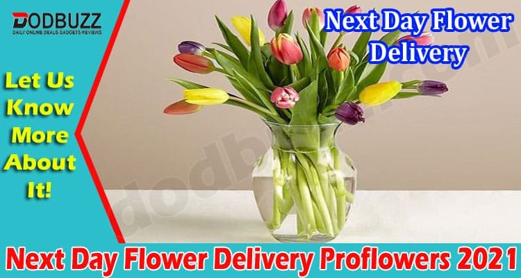 Latest News Flower Delivery Proflowers