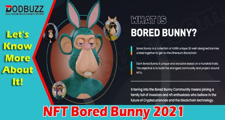 Latest News NFT Bored Bunny