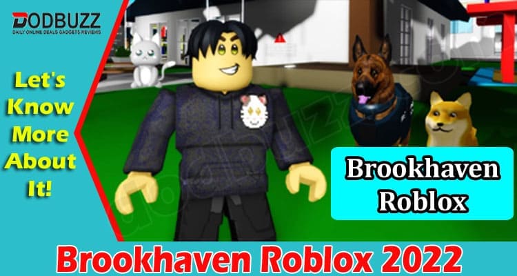 Gaming Tips Brookhaven Roblox 2022