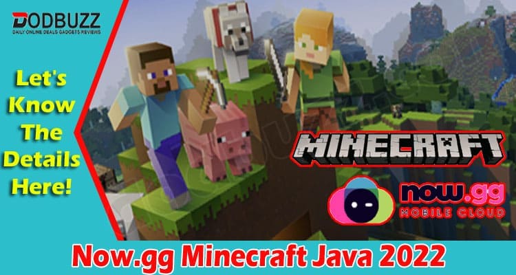 Gaming Tips Now.gg Minecraft Java