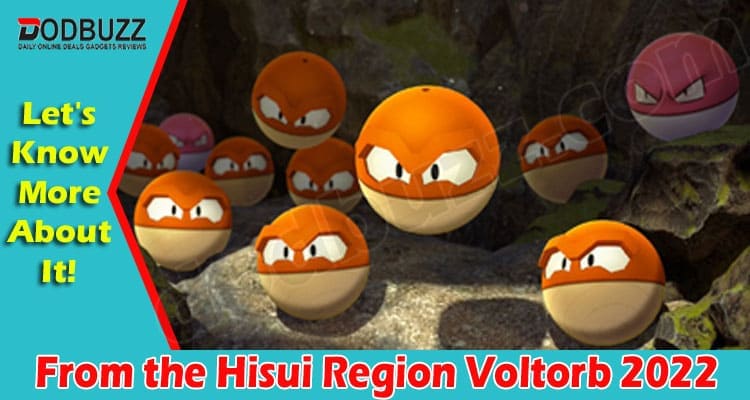 Latest News From the Hisui Region Voltorb